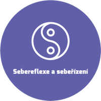Sebereflexe a&nbsp;sebeřízení